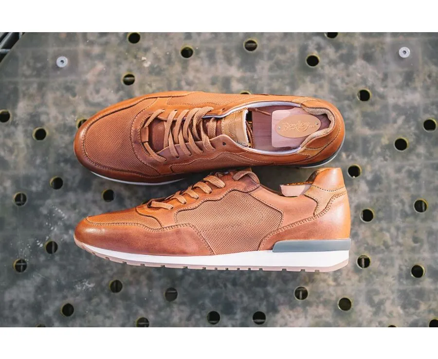 Patina Chestnut leather Trainers - CANBERRA